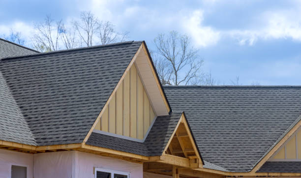 Professional Roofing in Philo, IL